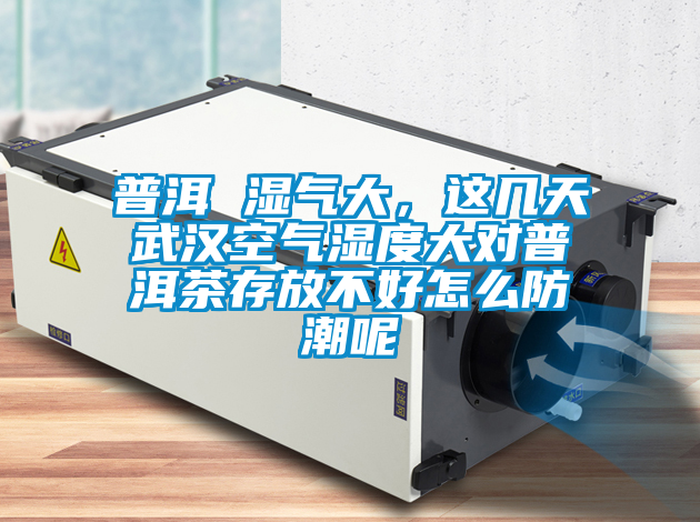 普洱 濕氣大，這幾天武漢空氣濕度大對普洱茶存放不好怎么防潮呢