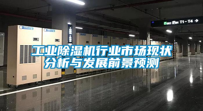 工業(yè)除濕機行業(yè)市場現(xiàn)狀分析與發(fā)展前景預測