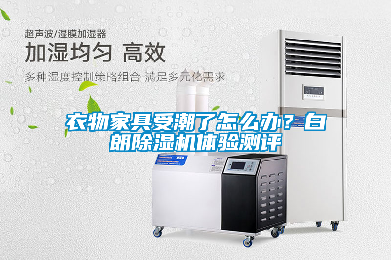 衣物家具受潮了怎么辦？白朗除濕機體驗測評