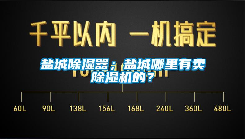 鹽城除濕器；鹽城哪里有賣除濕機的？