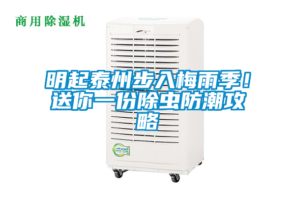 明起泰州步入梅雨季！送你一份除蟲防潮攻略