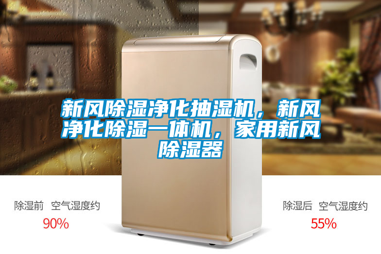 新風除濕凈化抽濕機，新風凈化除濕一體機，家用新風除濕器