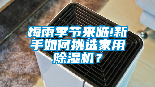梅雨季節來臨!新手如何挑選家用除濕機？