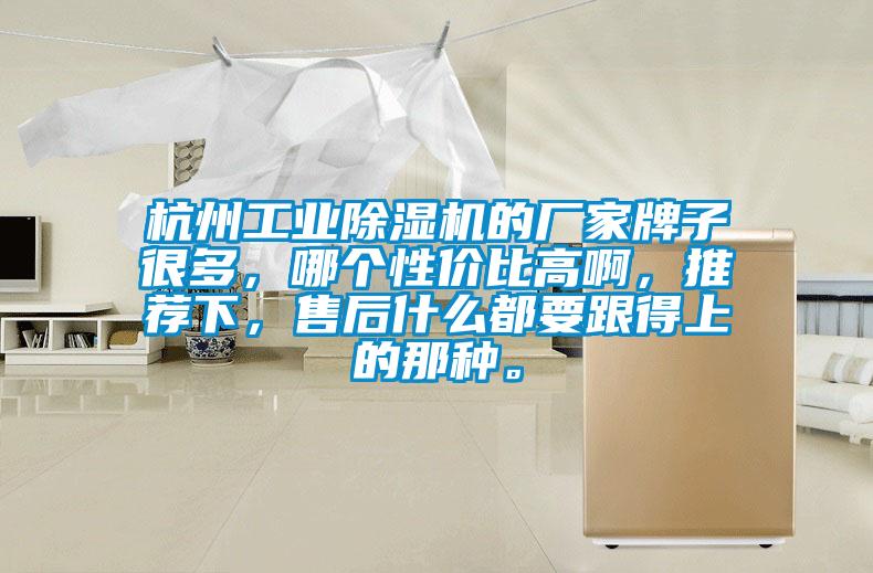 杭州工業除濕機的廠家牌子很多，哪個性價比高啊，推薦下，售后什么都要跟得上的那種。