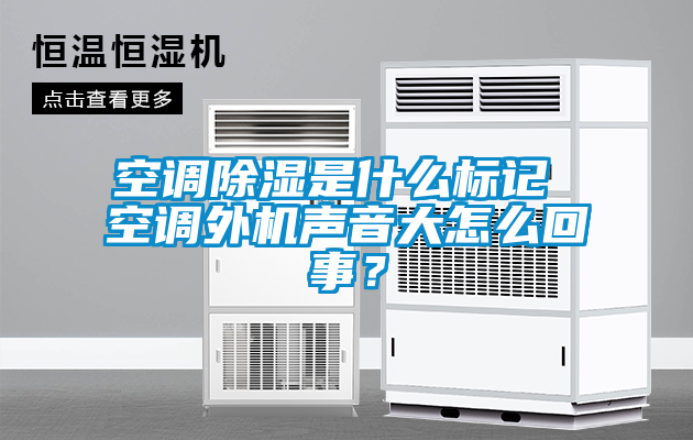 空調(diào)除濕是什么標(biāo)記 空調(diào)外機聲音大怎么回事？