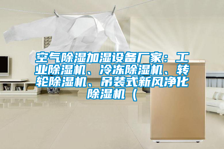空氣除濕加濕設備廠家：工業除濕機、冷凍除濕機、轉輪除濕機、吊裝式新風凈化除濕機（