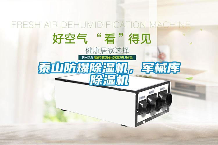 泰山防爆除濕機，軍械庫除濕機