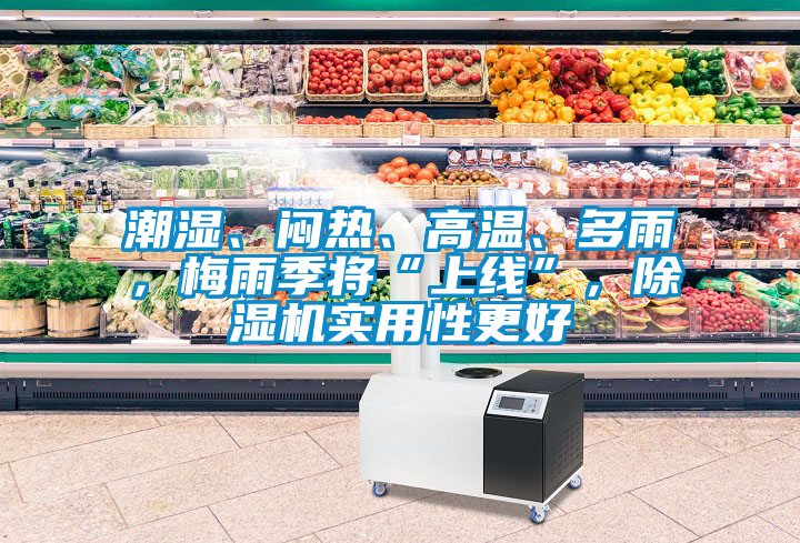 潮濕、悶熱、高溫、多雨，梅雨季將“上線”，除濕機實用性更好
