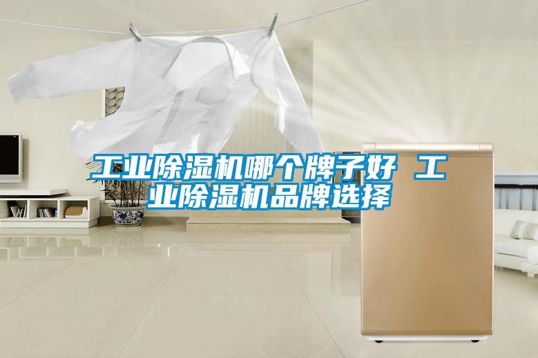 工業(yè)除濕機(jī)哪個(gè)牌子好 工業(yè)除濕機(jī)品牌選擇