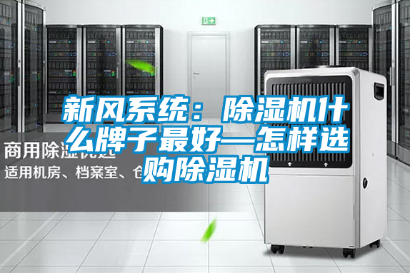 新風(fēng)系統(tǒng)：除濕機什么牌子最好—怎樣選購除濕機