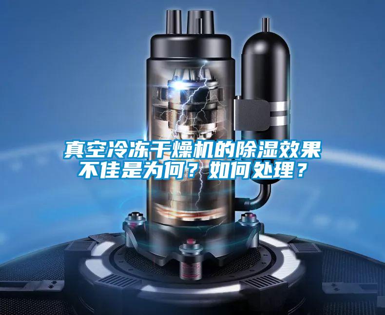 真空冷凍干燥機的除濕效果不佳是為何？如何處理？