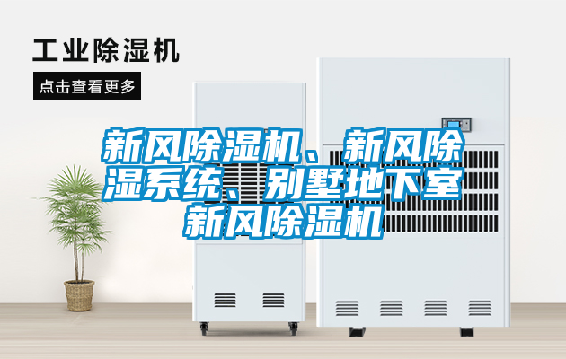 新風(fēng)除濕機、新風(fēng)除濕系統(tǒng)、別墅地下室新風(fēng)除濕機