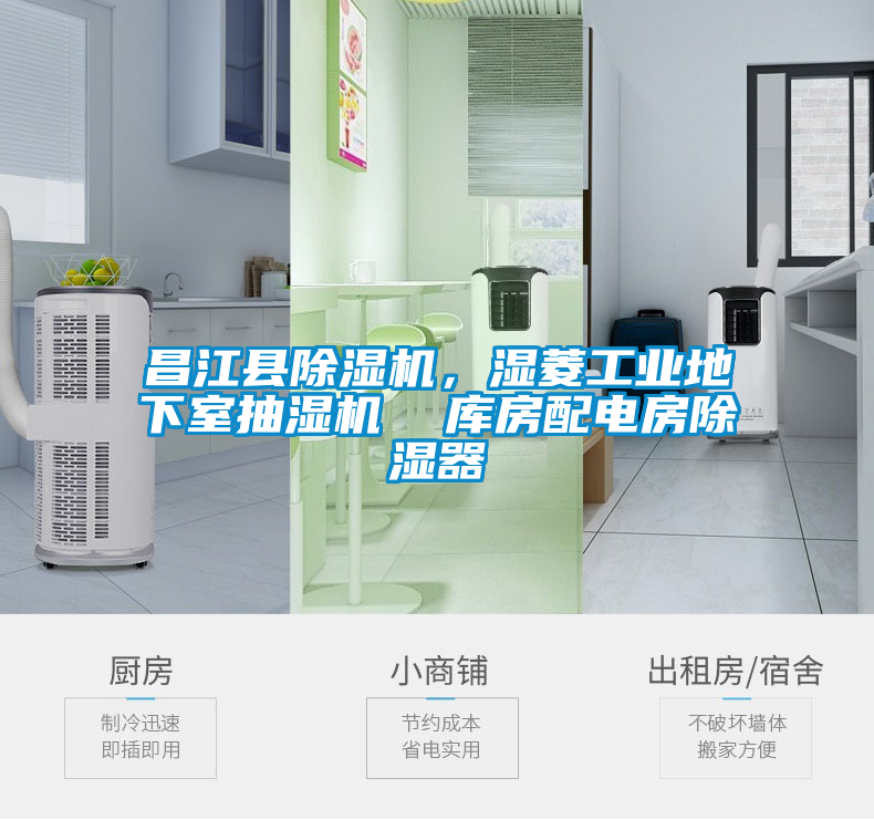 昌江縣除濕機(jī)，濕菱工業(yè)地下室抽濕機(jī)  庫(kù)房配電房除濕器