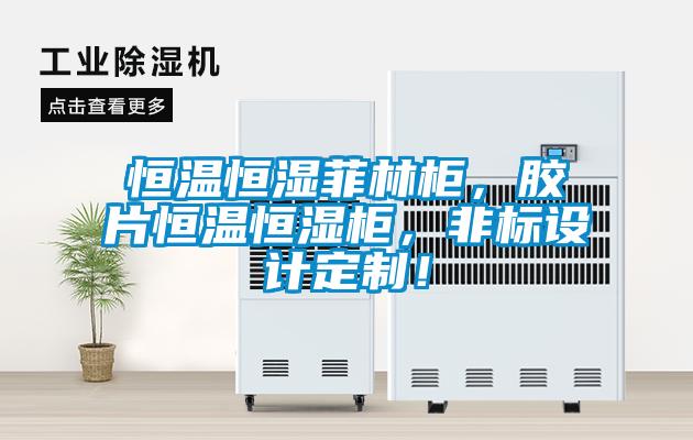 恒溫恒濕菲林柜，膠片恒溫恒濕柜，非標(biāo)設(shè)計定制！
