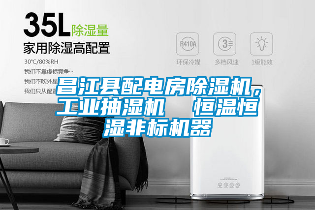 昌江縣配電房除濕機(jī)，工業(yè)抽濕機(jī)  恒溫恒濕非標(biāo)機(jī)器
