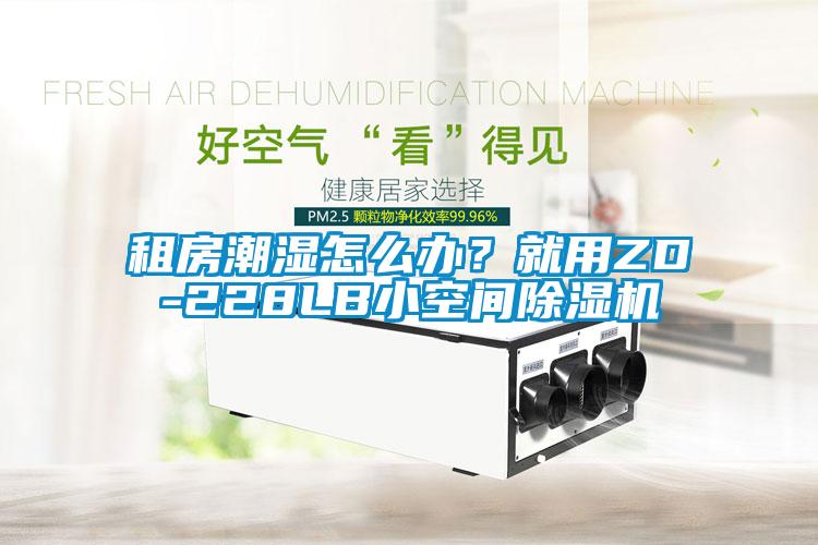 租房潮濕怎么辦？就用ZD-228LB小空間除濕機
