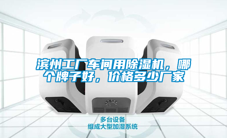 濱州工廠車間用除濕機，哪個牌子好，價格多少廠家