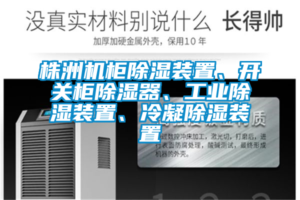 株洲機(jī)柜除濕裝置、開關(guān)柜除濕器、工業(yè)除濕裝置、冷凝除濕裝置