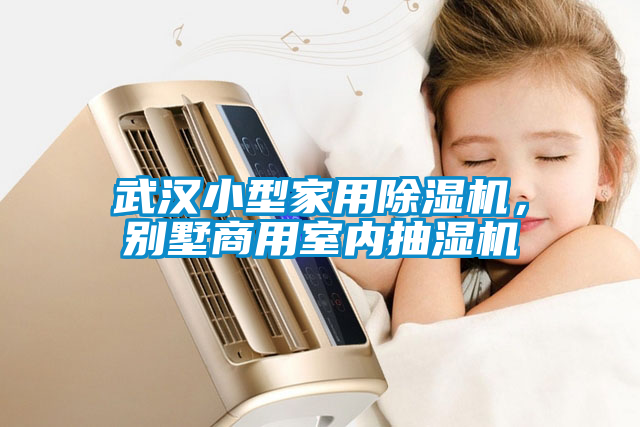 武漢小型家用除濕機，別墅商用室內抽濕機