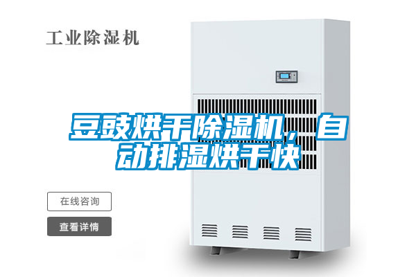 豆豉烘干除濕機，自動排濕烘干快