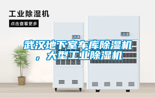 武漢地下室車庫除濕機，大型工業除濕機