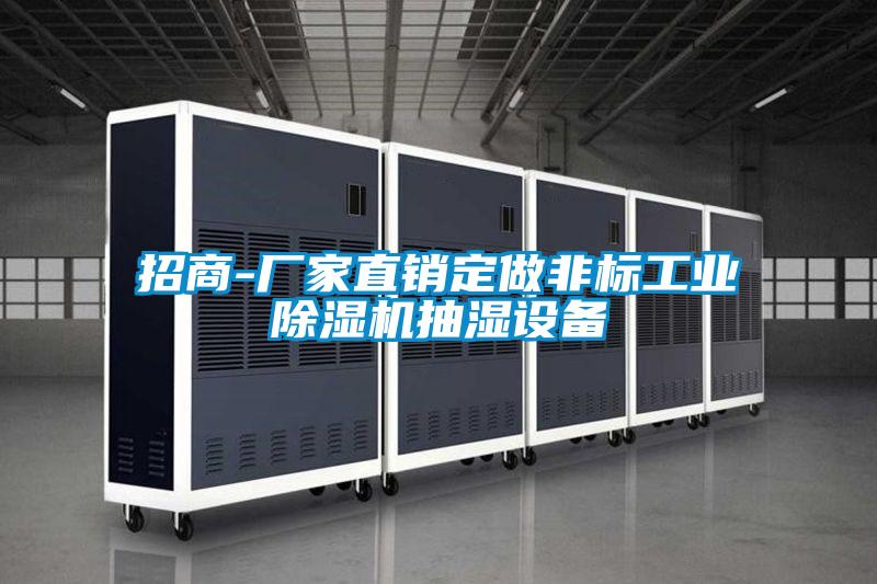 招商-廠家直銷定做非標工業(yè)除濕機抽濕設備