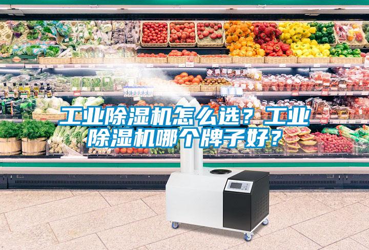 工業除濕機怎么選？工業除濕機哪個牌子好？