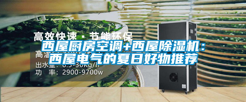 西屋廚房空調(diào)+西屋除濕機：西屋電氣的夏日好物推薦