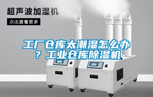 工廠倉庫太潮濕怎么辦？工業(yè)倉庫除濕機(jī)