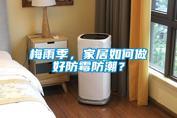 梅雨季，家居如何做好防霉防潮？