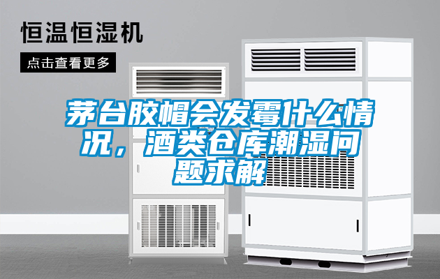 茅臺膠帽會(huì)發(fā)霉什么情況，酒類倉庫潮濕問題求解