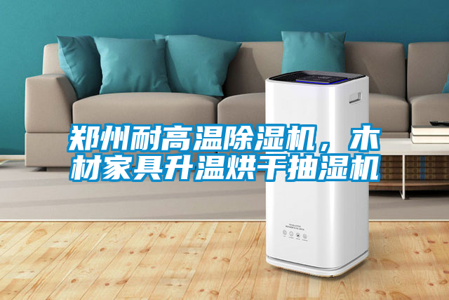 鄭州耐高溫除濕機(jī)，木材家具升溫烘干抽濕機(jī)