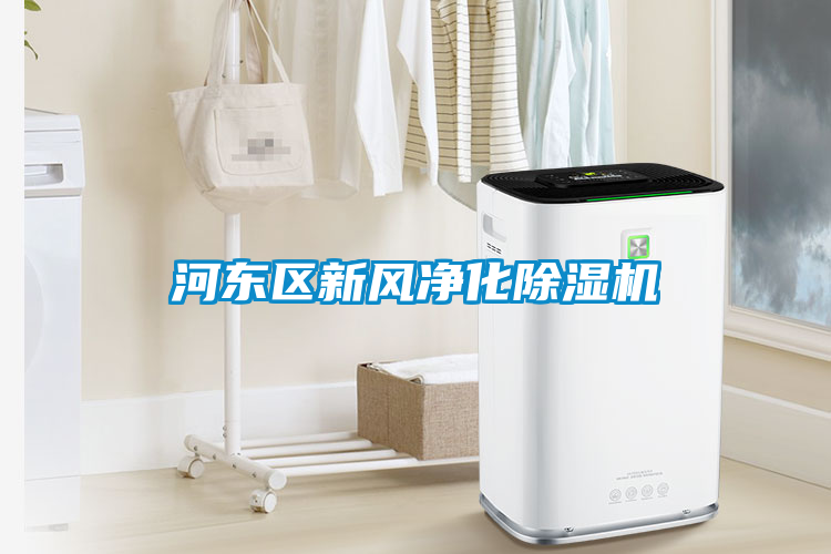 河東區(qū)新風凈化除濕機