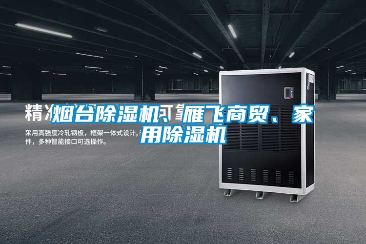 煙臺除濕機、雁飛商貿、家用除濕機