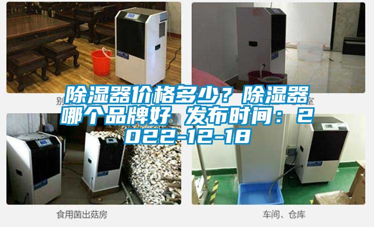 除濕器價(jià)格多少？除濕器哪個(gè)品牌好 發(fā)布時(shí)間：2022-12-18