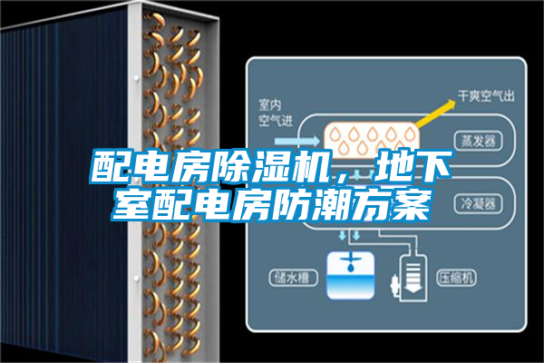 配電房除濕機，地下室配電房防潮方案