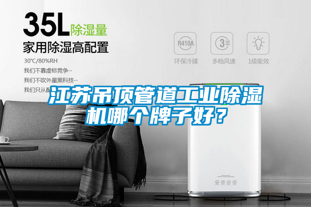 江蘇吊頂管道工業除濕機哪個牌子好？