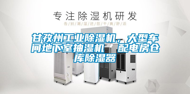 甘孜州工業除濕機，大型車間地下室抽濕機  配電房倉庫除濕器