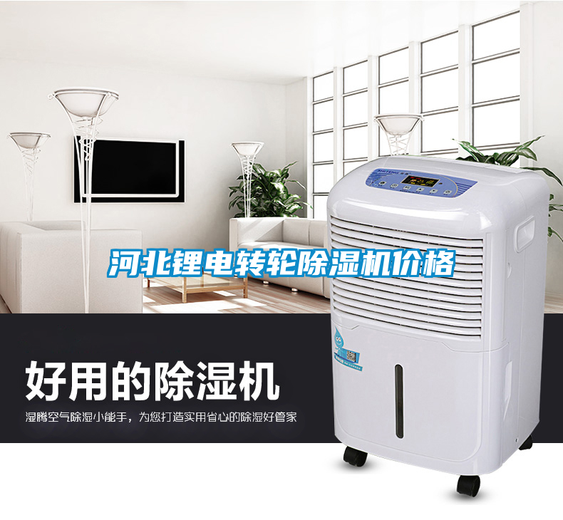 河北鋰電轉輪除濕機價格