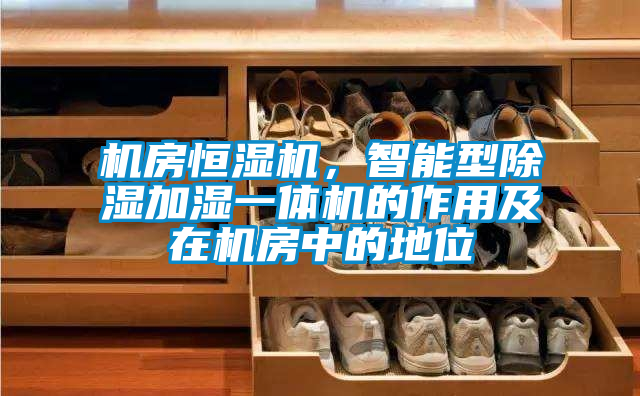 機(jī)房恒濕機(jī)，智能型除濕加濕一體機(jī)的作用及在機(jī)房中的地位