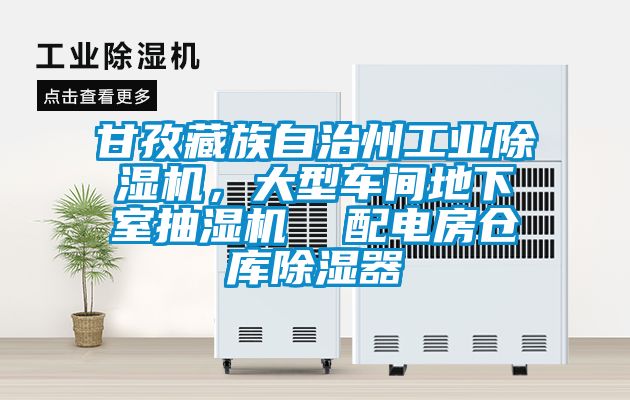 甘孜藏族自治州工業除濕機，大型車間地下室抽濕機  配電房倉庫除濕器