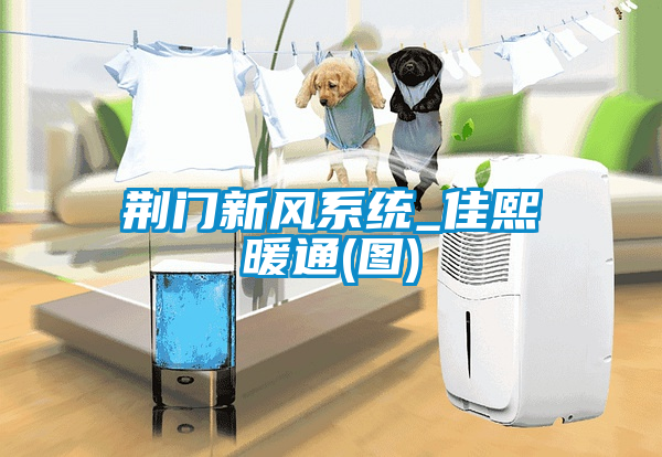 荊門新風系統_佳熙暖通(圖)