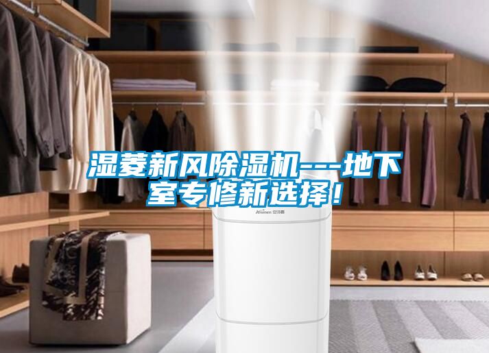 濕菱新風除濕機---地下室專修新選擇！