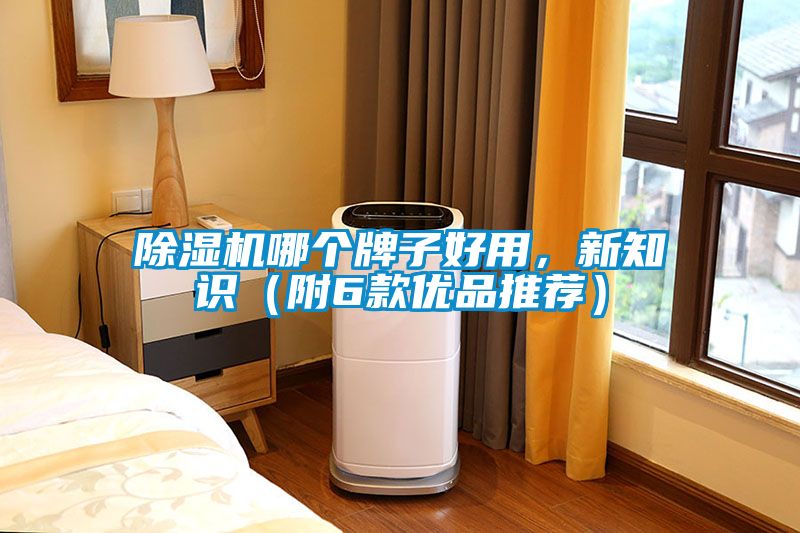 除濕機哪個牌子好用，新知識（附6款優品推薦）