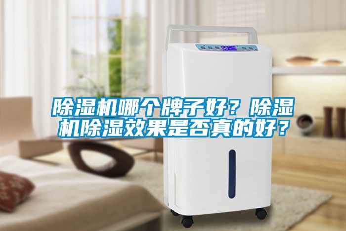 除濕機(jī)哪個牌子好？除濕機(jī)除濕效果是否真的好？