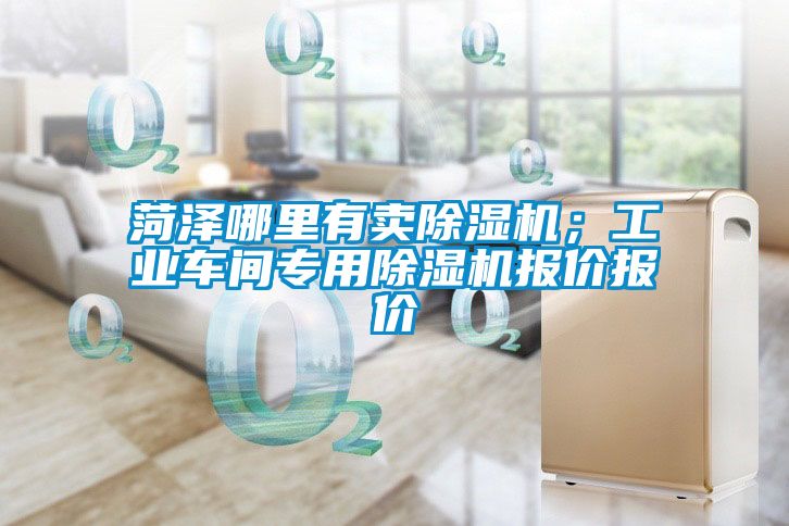 菏澤哪里有賣除濕機(jī)；工業(yè)車間專用除濕機(jī)報價報價