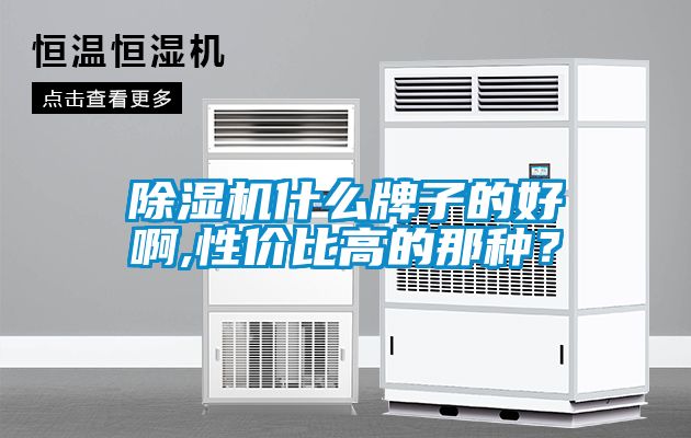 除濕機(jī)什么牌子的好啊,性價比高的那種？