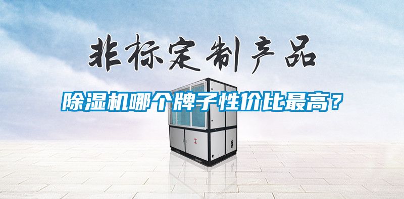 除濕機(jī)哪個牌子性價比最高？