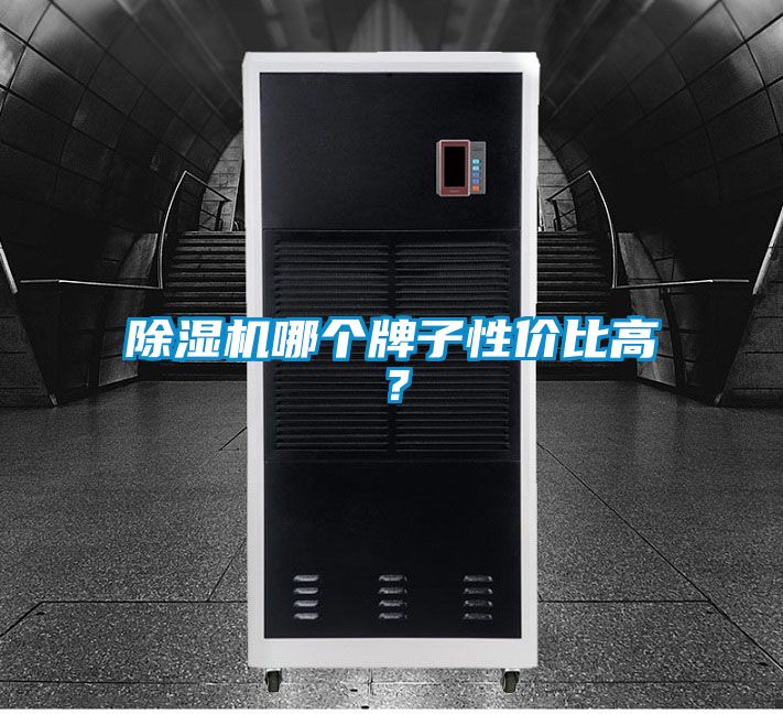 除濕機(jī)哪個牌子性價比高？