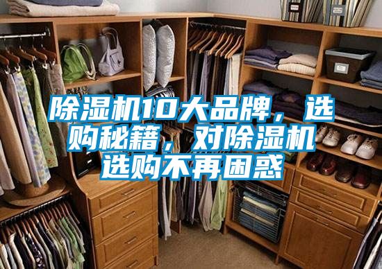 除濕機10大品牌，選購秘籍，對除濕機選購不再困惑